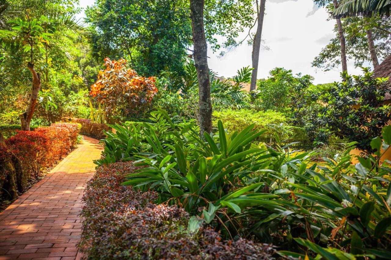 Brovad Sands Lodge Kalangala Ngoại thất bức ảnh